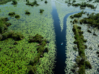 tourist kayaking to see nature of lotus swamp at Rayong botanic garden, aerial view from drone.