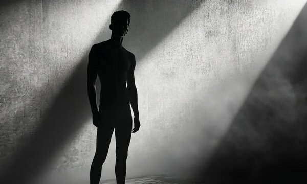 A silhouetted figure stands in a dimly lit space, evoking a sense of solitude and introspection.