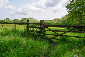 Green country fields overlooking wooden fence. Peaceful rural landscape. Countryside views 