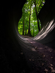 concave in NP Podyji, Czech Republic