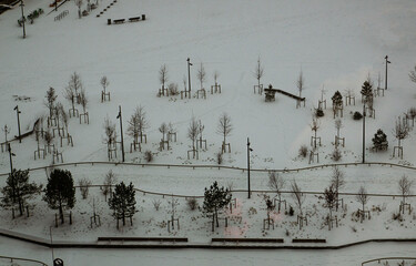 Winter city park with young trees and footprints in the snow, illuminated by street lamps in a minimalist style