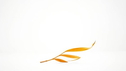 Obraz premium A solitary, dried twig with delicate, brown leaves on a stark white background, creating a minimalist natural composition.