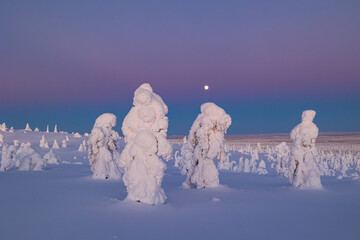 landscape with snow