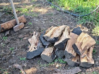 A log with a wedge hammered into it for splitting, surrounded by chopped firewood on the ground