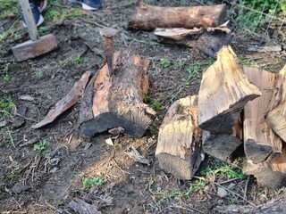A neatly stacked pile of firewood in a backyard, ready for the winter