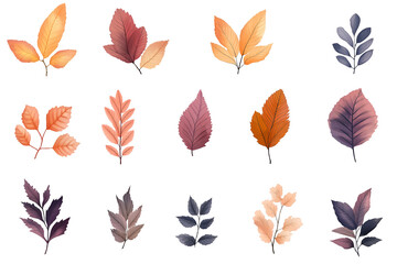Fototapeta premium Autumn leaves isolated on white background, cut out png.