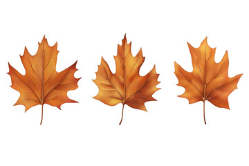Obraz premium Autumn leaves isolated on white background, cut out png.