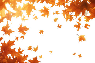 Autumn leaves isolated on white background, cut out png.