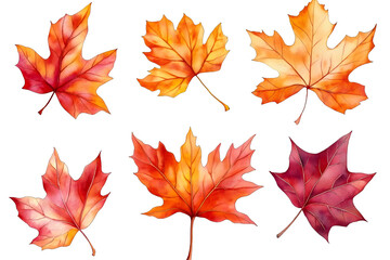 Autumn leaves isolated on white background, cut out png.