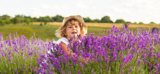 Child girl in lavender field. Selective focus.