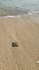 Small waves on a beach, Tiny waves lapped at the shore. Gentle ripples danced across the calm, shallow water. Kondang Merak Beach in Malang Indonesia