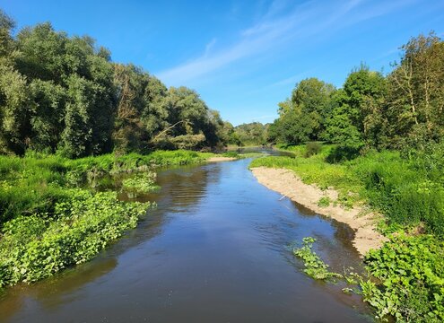 Boire de Loire, entre Nantes et Angers. France