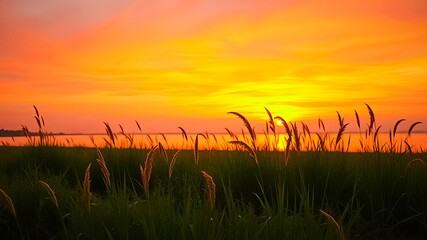 Naklejka premium Silhouettes of Tall Grass Swaying in the Golden Hour Glow of a Sunset Over a Still Water Body