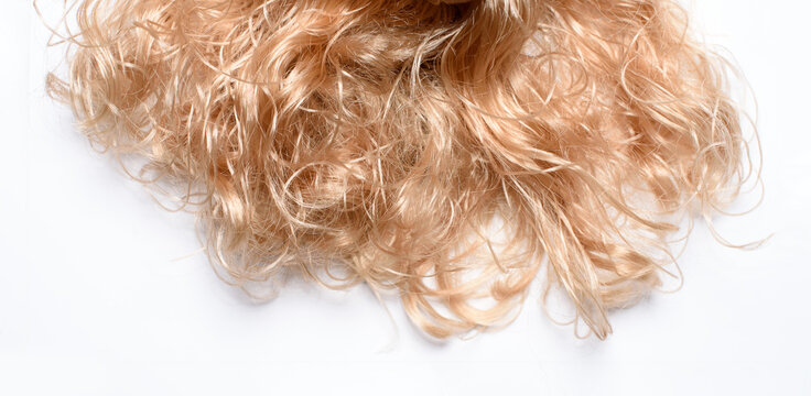 Blond female curly unbrushed hair close up view, isolated on a white background