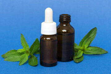 Natural Mint Essential Oil in a Glass Bottle. organic cosmetics with herbal extracts of mint on colored background