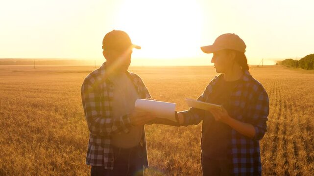 The farmers discuss partnership, contract signing on cooperation in rural economy and shake hands as a sign of agreement. background of a wheat field. cooperation in agriculture
