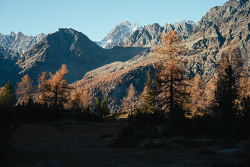 Beautiful autumn landscape in the mountains of Valmalenco in the northern Italy at sunset, with orange larches and foliage