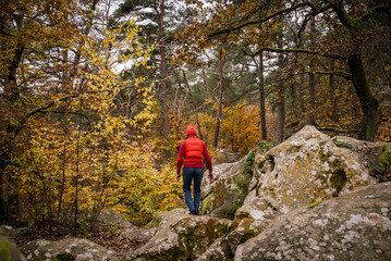 Obraz premium View on hiker in forest in autumn