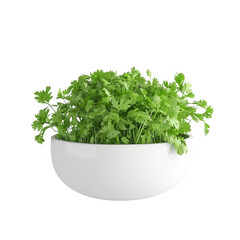 Fototapeta premium Fresh green cilantro plant in a white bowl, perfect for culinary and gardening themes.