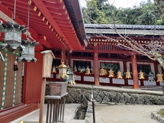 Nara Beautiful city in the middle of Japan