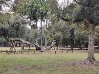 Nara Beautiful city in the middle of Japan