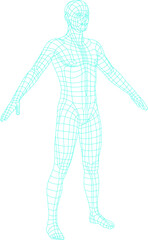 HUD human body anatomy PNG