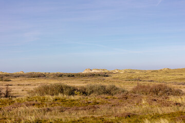 Nature reserve area on the seashore, Overview of the dunes with marram beach grass, Landscape view...