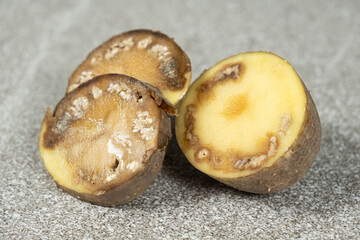 Close-up of cut rotten potatoes