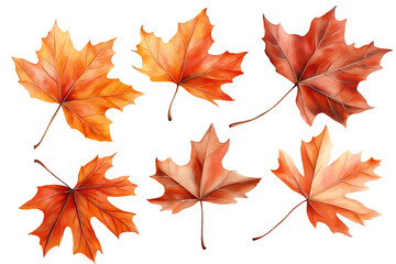 Fototapeta premium Autumn leaves isolated on white background, cut out png.