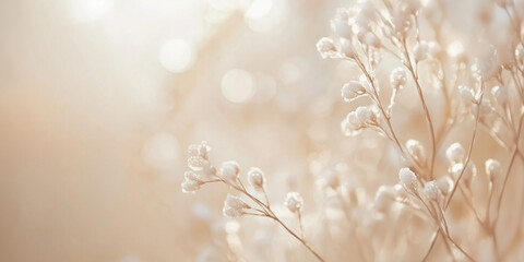 Fototapeta premium Closeup of snow covered branches on a background with bokeh lights. Abstract festive background. image. Created with Generative AI technology