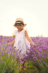 Child girl in lavender field. Selective focus.