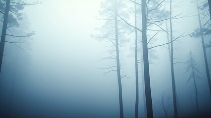 Eerie and mysterious, tall trees stand tall in a dense fog, their silhouettes barely visible against the hazy backdrop.