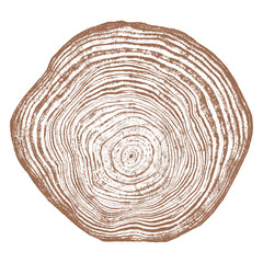 Tree wood texture. Wooden old trunk. Cut timber log. Abstract rings nature pattern. Brown circle stump. Wood cross section.