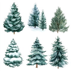 Obraz premium collection of Christmas trees in watercolor