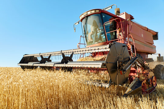 Farmer in combine harvester harvesting wheat crops in field