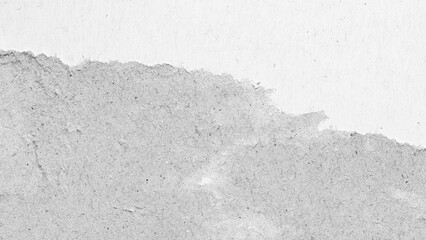 Obraz premium Torn gray white paper cardboard message background page with rough edges and blank copy space for text backdrop design element