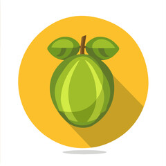 Simple flat 2D icon Triphala isolated on  a white background, 2D flat illustration, food vector