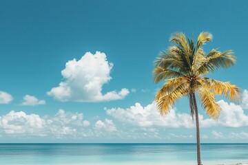 Serene Tropical Beach with Palm Tree and Clear Blue Skies