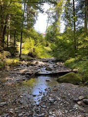 Obraz premium Hausbachklamm