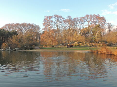 Autumn in the Parc de la T&ecirc;te d'Or - Lyon - France