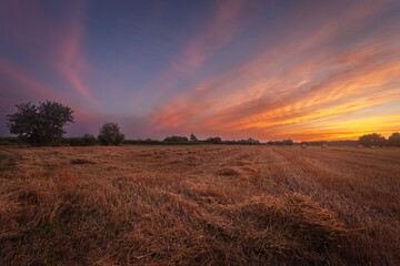 Fototapeta premium Straw on a rural stubble field and colorful clouds after sunset, summer in eastern Poland