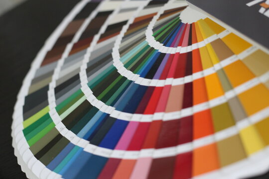 Close-up picture of color palette guide