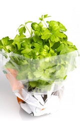 Fresh green parsley in plastic package grown in greenhouse isolated on white background. Studio shot