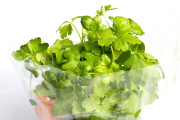 Fresh green parsley in plastic package grown in greenhouse isolated on white background. Studio shot