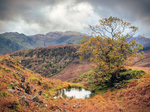 landscape in the mountains