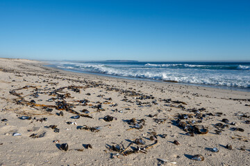 West Coast shoreline near Lamberts Bay with views south towards Elands Bay or Elandsbaai. Western Cape, South Africa.
