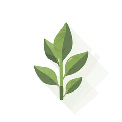 Simple flat 2D icon wild spinach isolated on a transparent background, vector, flat design, animation design, vector, flat design, animation design, simple flat 2D icon, minimalist design