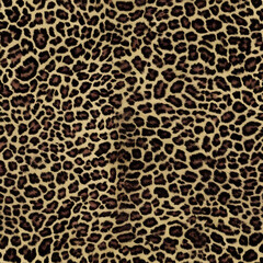leopard, wool texture, fluffy background, bright wild cat print, stylish design