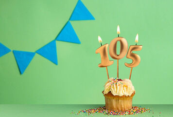 Birthday cupcake with number 105 candle - Green background with blue pennants.