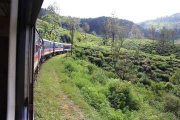 Fototapeta premium Sri Lanka Ceylon